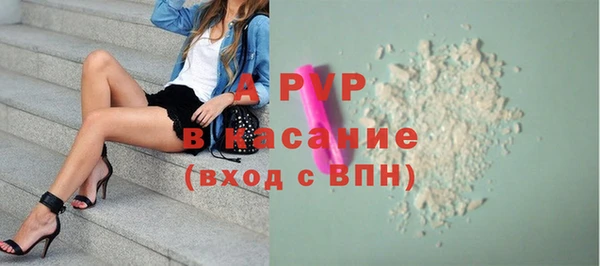 ECSTASY Осинники
