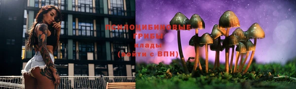 ПСИЛОЦИБИНОВЫЕ ГРИБЫ Белокуриха