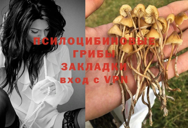 ПСИЛОЦИБИНОВЫЕ ГРИБЫ Белокуриха
