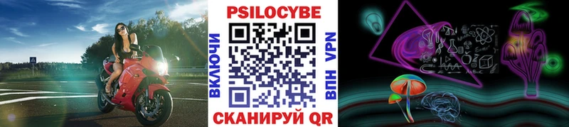 Псилоцибиновые грибы мицелий Калининец